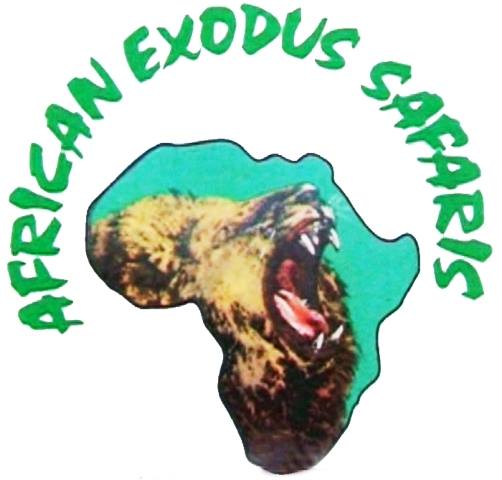 African Exodus Safaris